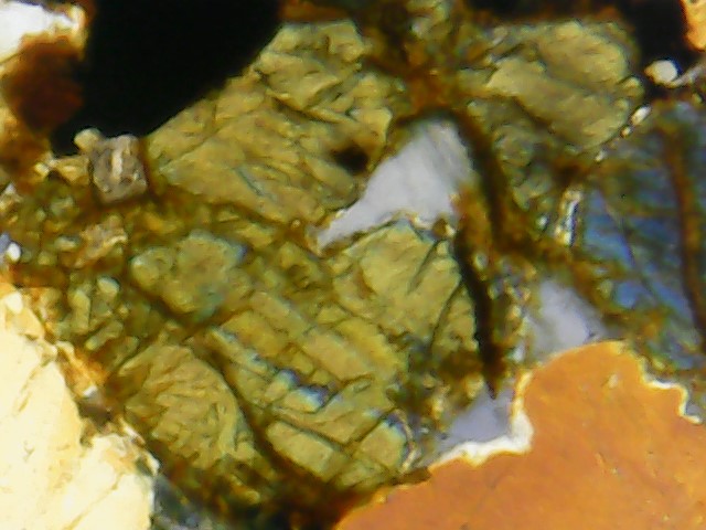 Para Jovens e Curiosos